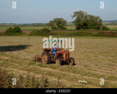 Landwirt mit einem Oldtimer-Traktor und Rotor Harke den Rasen umsetzen Landstriche bereit für Silage, Somerset Levels, UK Stockfoto