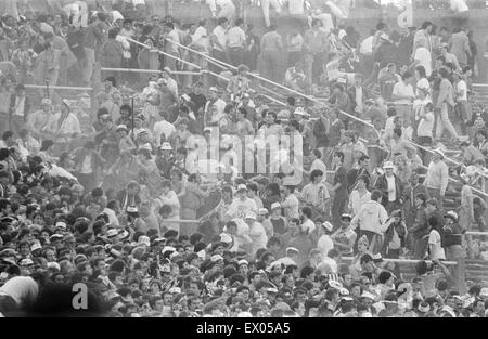 Warnung: GRAPHIC CONTENT Juventus V Liverpool, 1985 Europacup-Finale, Heysel-Stadion, Brüssel, Mittwoch, 29. Mai 1985. Katastrophe von Heysel-Stadion. 39 Menschen, meist Juventus-Fans, starb, als Raketen geworfen durch beide Sätze von Fans über eine Na entkommen Stockfoto