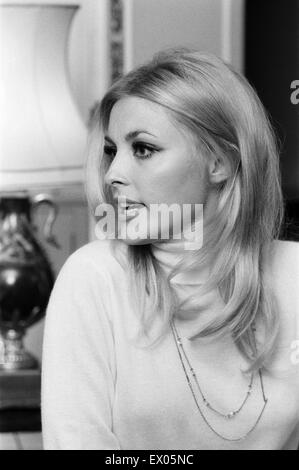 Sharon Tate, Schauspielerin und Model, im Alter von 22 Jahren, in ihrer Wohnung in Belgravia, London, Freitag, 15. Oktober 1965 abgebildet. Stockfoto