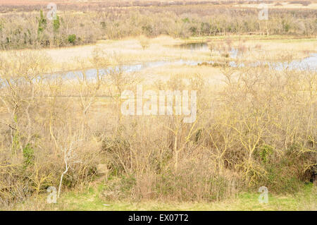 Blick auf einen Sumpf aus Senillosa-Observatorium in der Aiguamolls de l'Empordà Natural Park. Girona. Katalonien. Spanien. Stockfoto