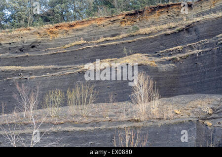 Schichtung Schichten in den Krater des Vulkans Croscat. Vulkanische Zone Naturpark Garrotxa. La Garrotxa. Girona. Katalonien. Stockfoto