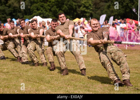 10 Trg Bn Inter Platoon Tug ' o ' Krieg, Abschied von der Garnison Festival, Bordon, Hampshire, UK. Samstag, 27. Juni 2015 (Forc bewaffnet Stockfoto