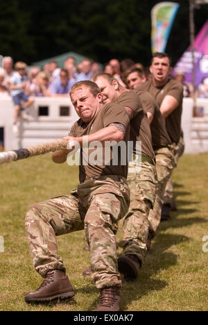 10 Trg Bn Inter Platoon Tug ' o ' Krieg, Abschied von der Garnison Festival, Bordon, Hampshire, UK. Samstag, 27. Juni 2015. Stockfoto