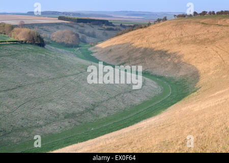 Weiche Abendlicht beleuchtet die Talseite des Pferdes Dale in der Nähe von Huggate in die Yorkshire Wolds, East Yorkshire, UK Stockfoto