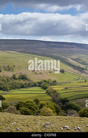 Blick über das Tal von Littondale mit blauem Himmel overhead im Frühjahr/Sommer, Littondale, Yorkshire Dales, North Yorkshire, Großbritannien Stockfoto