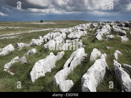 Sommer-Gewitterwolken Rollen oben Malham mit Blick in Richtung Malham Lings, Malhamdale, Yorkshire Dales, UK Stockfoto