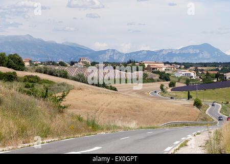 Ein Blick auf das Dorf Valensole (Provence - Frankreich). Die gleichnamige Hochebene zeigt Kulturen von Getreide und Lavendel. Stockfoto