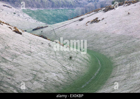 Zeigen Sie bergab gut, in der Nähe von Warter in die Yorkshire Wolds an, East Yorkshire, UK Stockfoto