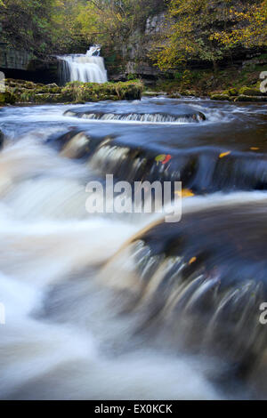 Oberen Kessel fällt im Herbst bei West Burton auf der Wharfedale/Wensleydale Grenze, Yorkshire Dales, UK Stockfoto