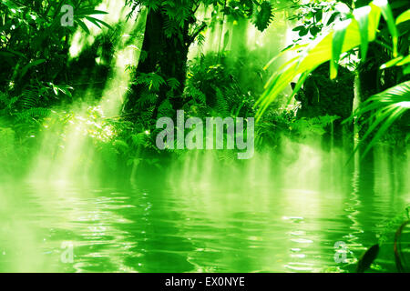 Sonnenstrahlen, die durch den Wald in einen nebligen ruhigen Teich in einem Regenwald herab Stockfoto