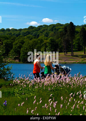 Zwei junge Mütter schieben Kinderwagen neben dem See in Trentham Gardens in der Nähe von Stoke auf Trent Staffordshire England UK Stockfoto