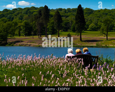 Drei ältere Frauen neben dem See in Trentham Gardens in der Nähe von Stoke-on-Trent Staffordshire England UK Stockfoto