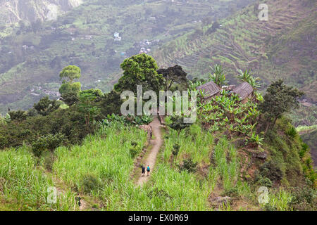 Touristen, die zu Fuß durch Zuckerrohr-Plantage in Ribeira Grande Valley auf der Insel Santo Antão, Kap Verde, Afrika Stockfoto