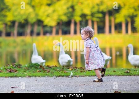 Glückliches Baby Mädchen laufen auf eine Fluss-Ufer Jagd auf Wildgänse im Herbst park Stockfoto