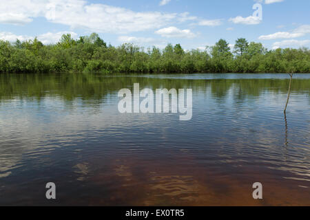 den großen Fluss mit der Küste, die den Holz und blauen Himmel mit den schwebenden Wolken overgrew Stockfoto