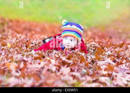 Lustiges kleines Mädchen spielen mit bunten roten Herbst Blätter Stockfoto