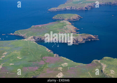 Skomer Island Luftbild im späten Frühjahr in Richtung Festland Pembrokeshire West Wales UK Stockfoto