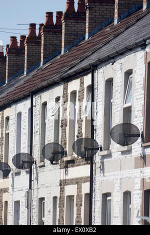 TV-Sat-Anlagen auf Fronten Außenbereich Reihenhäuser Cardiff Wales UK Stockfoto