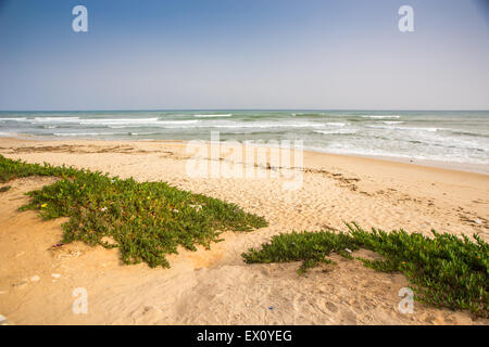 Schöner Strand an der Küste des Mittelmeers in Hammamet, Tunesien Stockfoto