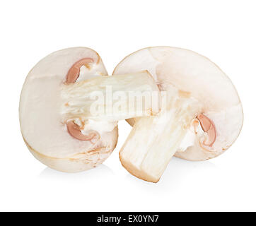 Champignon Pilzen isolierten auf weißen Hintergrund Stockfoto