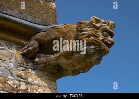 Alten Flechten bedeckt geschnitzten Stein Wasserspeier an einer Kirche in Dorset Satz vor einem blauen Himmel. Stockfoto