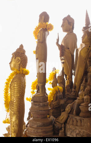 Höhle Pak Ou Höhlen Unterhaus mehr als 2.500 Buddhas, sind die meisten davon aus Holz gefertigt. Stockfoto