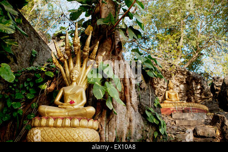 Diese goldenen Statuen auf der Ban Khamyong-Seite des Berges. Phou Si. darstellen Sie die 7 Positionen des Buddha. Stockfoto