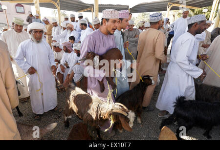 Kauf und Verkauf von Ziegen auf tierische Wochenmarkt in Nizwa, Oman Stockfoto