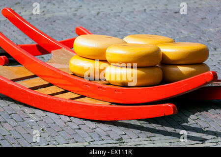 Käse runden auf Schlitten, Käsemarkt in Alkmaar, Holland, Niederlande Stockfoto