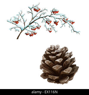 Tannenzapfen isoliert auf weißem Hintergrund Stockfoto