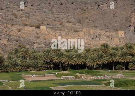 Landwirtschaft und verlassenes Dorf in Wadi Ghul, Sultanat von Oman Stockfoto