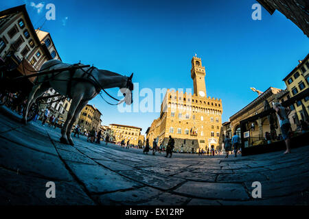 Pferd und Kutsche auf der Piazza della Signoria, Florenz Stockfoto