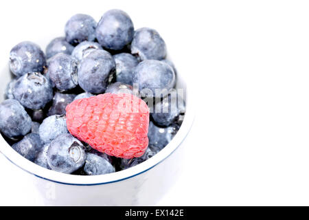 Schüssel mit einer einzigen Himbeere über eine Reihe von Heidelbeeren auf weißem Hintergrund Stockfoto