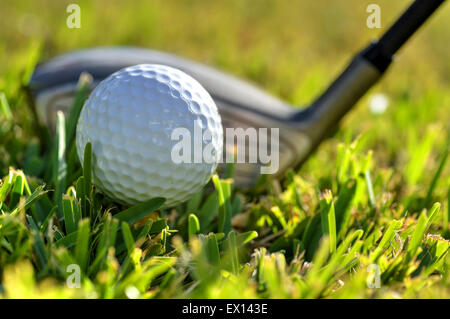 Schuss einen Golfball und Fahrer auf grüne Fairway Rasen hautnah Stockfoto