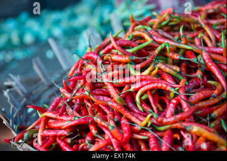 Haufen von frischen feurige rote scharfe Chilischoten auf dem Display in rustikalen Korb auf einer Outdoor-Gemüsemarkt in Mysore, Indien Stockfoto