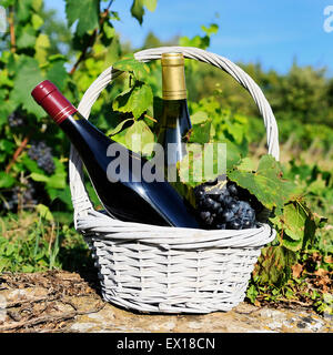 weiß- und Rotwein in einem Korb mit Trauben Stockfoto