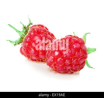 Himbeeren, isoliert auf weißem Hintergrund. Stockfoto