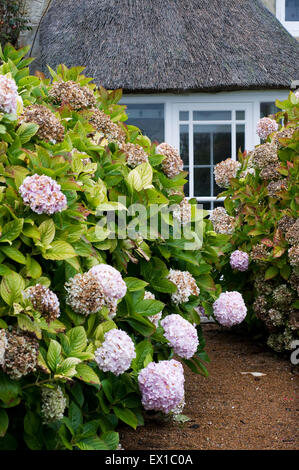 Ferienhaus in Steephill Cove nahe Ventnor, Isle Of Wight England UK Europe Stockfoto