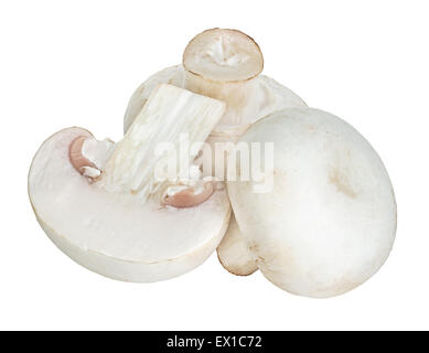 Champignon Pilzen isolierten auf weißen Hintergrund Stockfoto