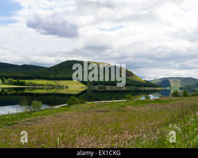 Reflexionen im Loch Lowes stromaufwärts von St. Marys Loch gespeist Megget Wasser die Quelle der Schafgarbe Wasser Selkirk Scottish Borders Stockfoto