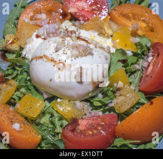 Burrata-Salat mit Tomaten, Kräuter und Samen Stockfoto