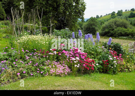 Blick auf schöne Cottage Garten krautigen Grenze gemischte Blumen ländlichen Garten in Blüte in der Landschaft in West Wales UK KATHY DEWITT Stockfoto