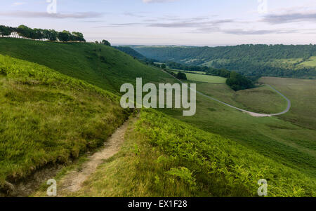 Blick über den North York Moors in der Morgendämmerung im Frühsommer mit einer Fülle von Flora, Felder und Wälder. Stockfoto