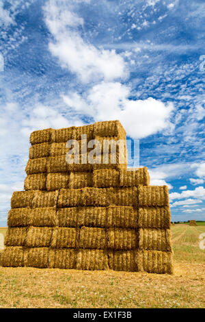 Heuballen, Charente Maritime, Süd-west Frankreich Stockfoto