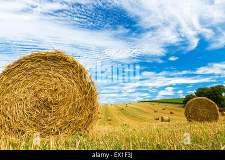 Heuballen, Charente Maritime, Süd-west Frankreich Stockfoto