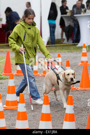 Sofia, Bulgarien - 18. Juni 2015: Ein blinder wird von ihrem golden Retriever Hund während des letzten Trainings für den Hund geführt. T Stockfoto