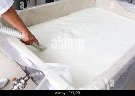 Käse Produktion während der Befüllung mit Büffelmilch in einer kleinen Familie Molkerei Tank. Der Milchviehbetrieb ist spezialisiert auf Büffel yogh Stockfoto