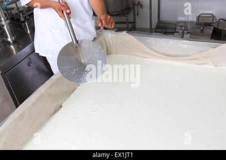 Eine Frau arbeitet in einer kleinen Familie Molkerei zeigt den Prozess der Blutgerinnung in einem Käse-Batch. Der Milchviehbetrieb ist spezialisiert Stockfoto