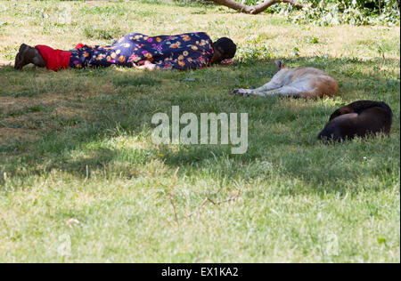 Ein Obdachloser schläft auf einer Wiese im Zentrum von Sofia mit Obdachlosen Hunde neben ihm. Stockfoto