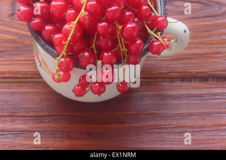 gesehen in den Kreis rote Johannisbeeren Stockfoto